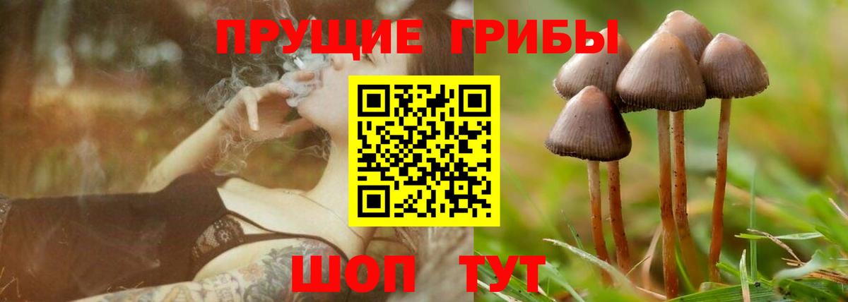 Псилоцибиновые грибы Magic Shrooms  Псилоцибиновые грибы ЛСД  Вход с VPN  Электросталь 